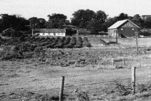 Bilde av Strand Søndre